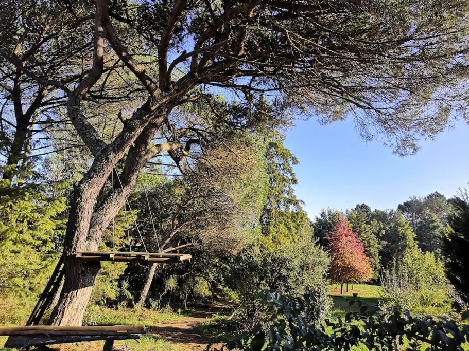 ואלונגו Pine Lodge - Direct Train To Porto מראה חיצוני תמונה